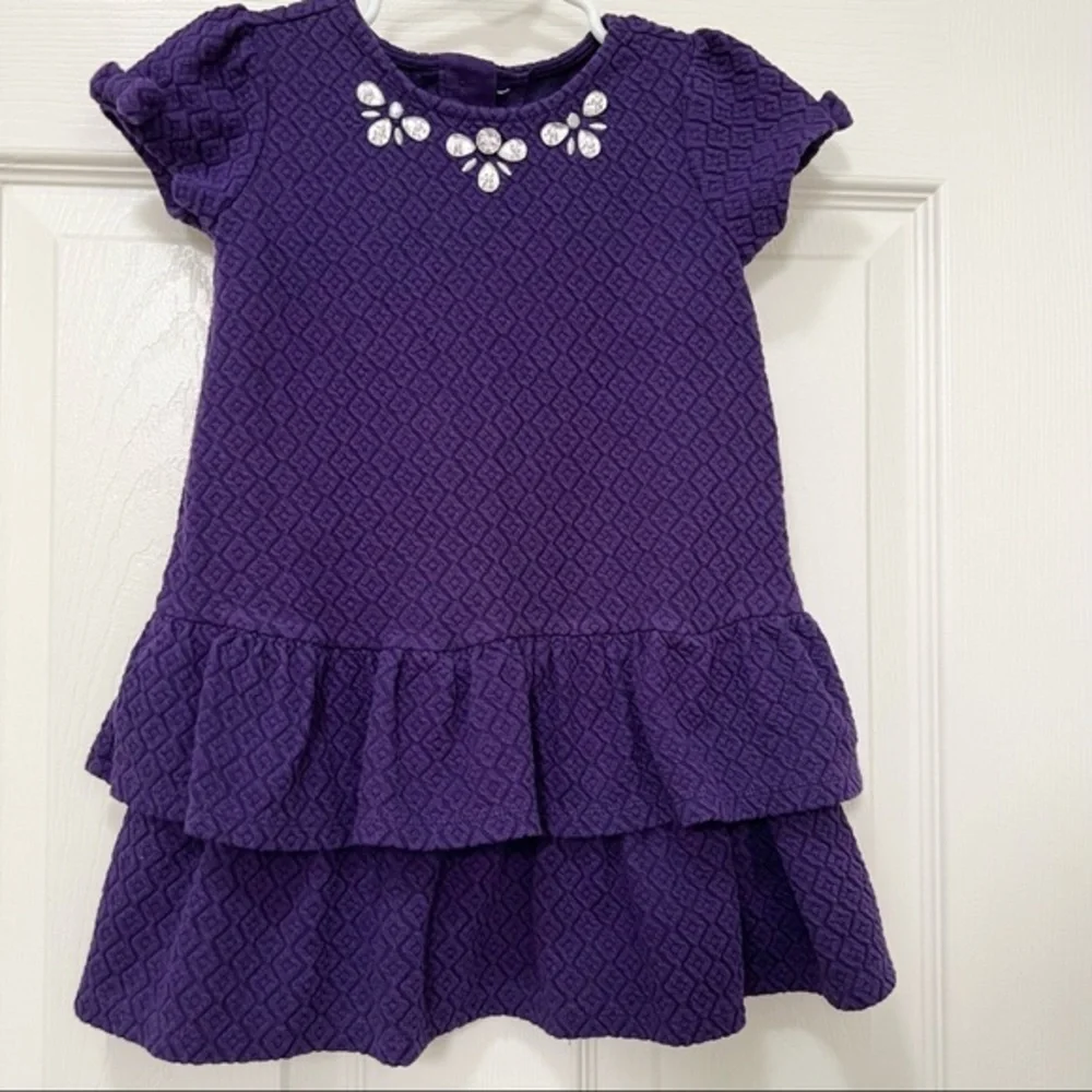 𝅺GYMBOREE|GIRLS plum short sleeve party dress-size 2T